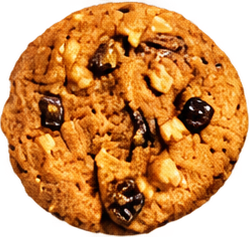 Georgia Oatmeal Raisin