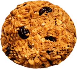 Oatmeal Raisin